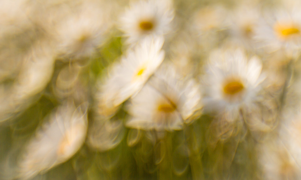 Platz 4 Sieglinde Senser